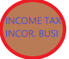 Incorporated Business Income Tax Preparation