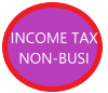Personal non-business income tax return preparation